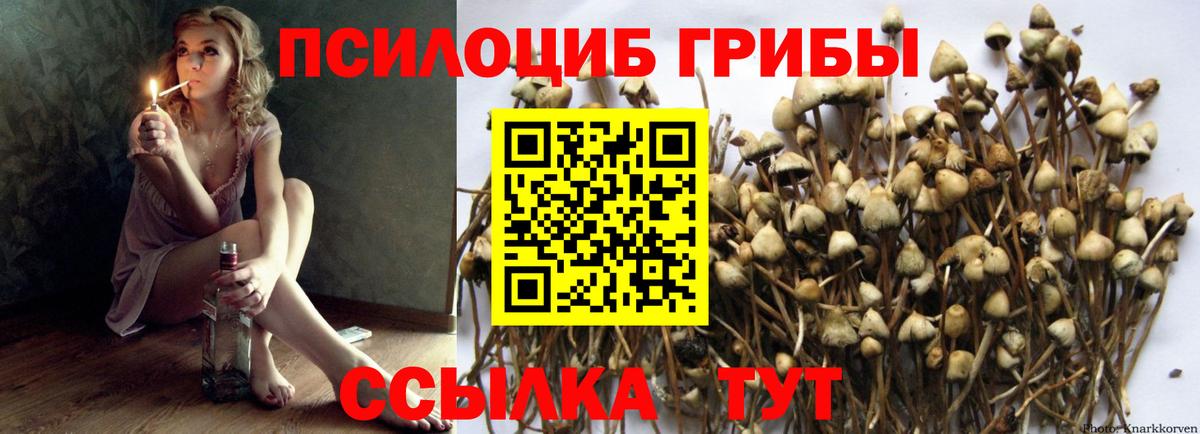 Псилоцибиновые грибы GOLDEN TEACHER Ликино-Дулёво