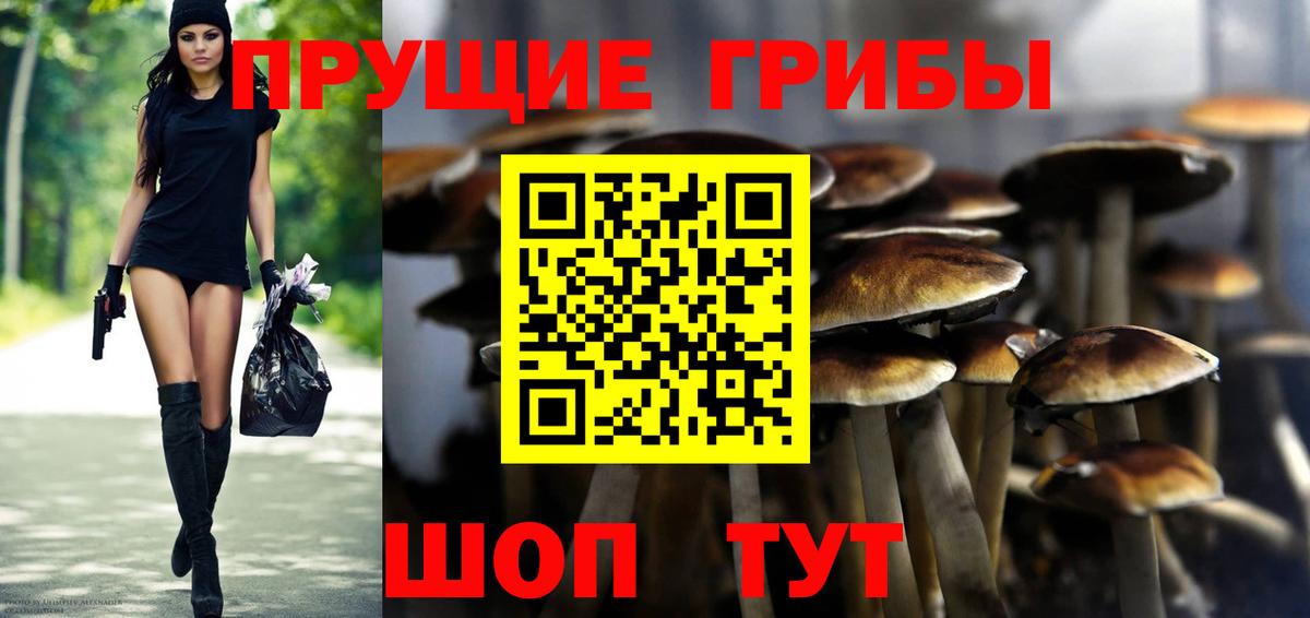 Ликино-Дулёво  Псилоцибиновые грибы мицелий  Вход с VPN  Псилоцибиновые грибы MAGIC MUSHROOMS 